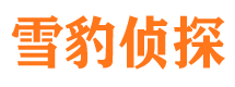 尉犁市调查公司